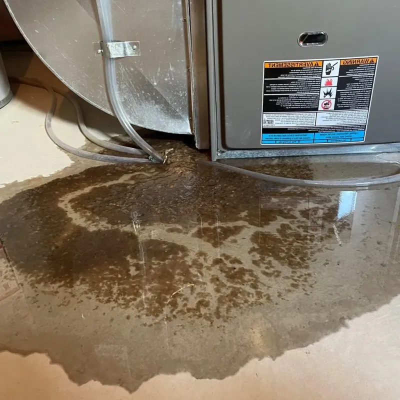 Pipe Burst and Leak Restoration in South Glens Falls, NY